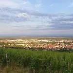 Le Coq De Champagne Dormans