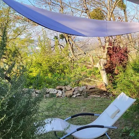 Le Coq De Champagne * Dormans