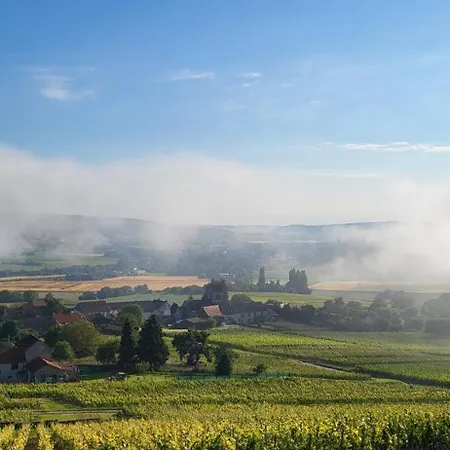 Holiday home Le Coq De Champagne *