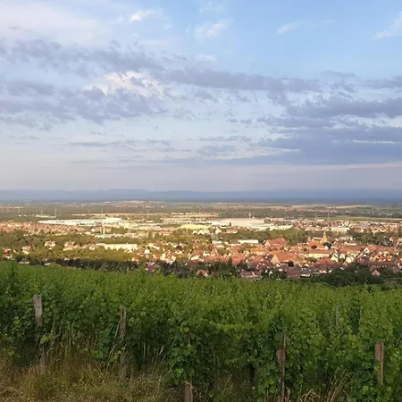 Le Coq De Champagne Dormans