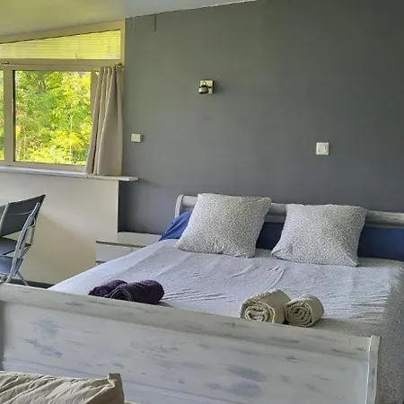 Le Coq De Champagne Holiday home