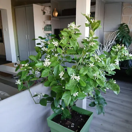 Le Coq De Champagne Casa vacanze Dormans