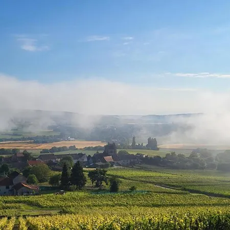 Le Coq De Champagne Dormans
