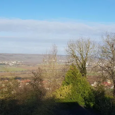 Le Coq De Champagne Dormans