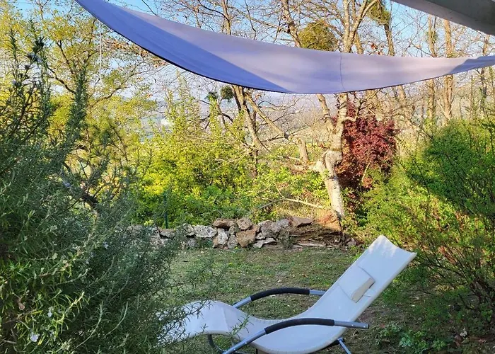 Le Coq De Champagne * Dormans